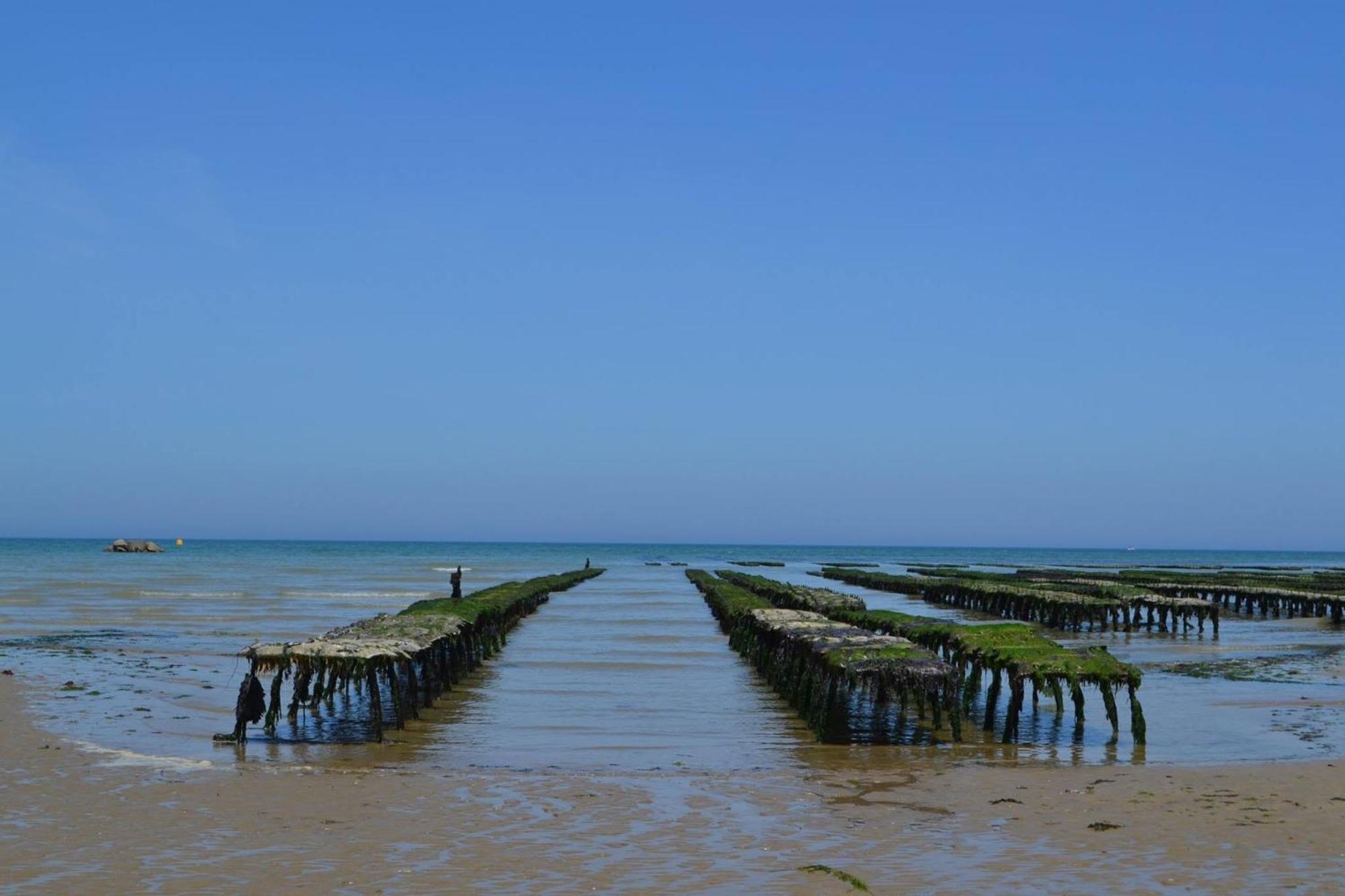 Nid De Pie Grand Duplex Lumineux Cadre Verdoyant Calme A 5 Mn De La Mer Pres Port En Bessin, Bayeux, Omaha Beach, Commes Exterior photo